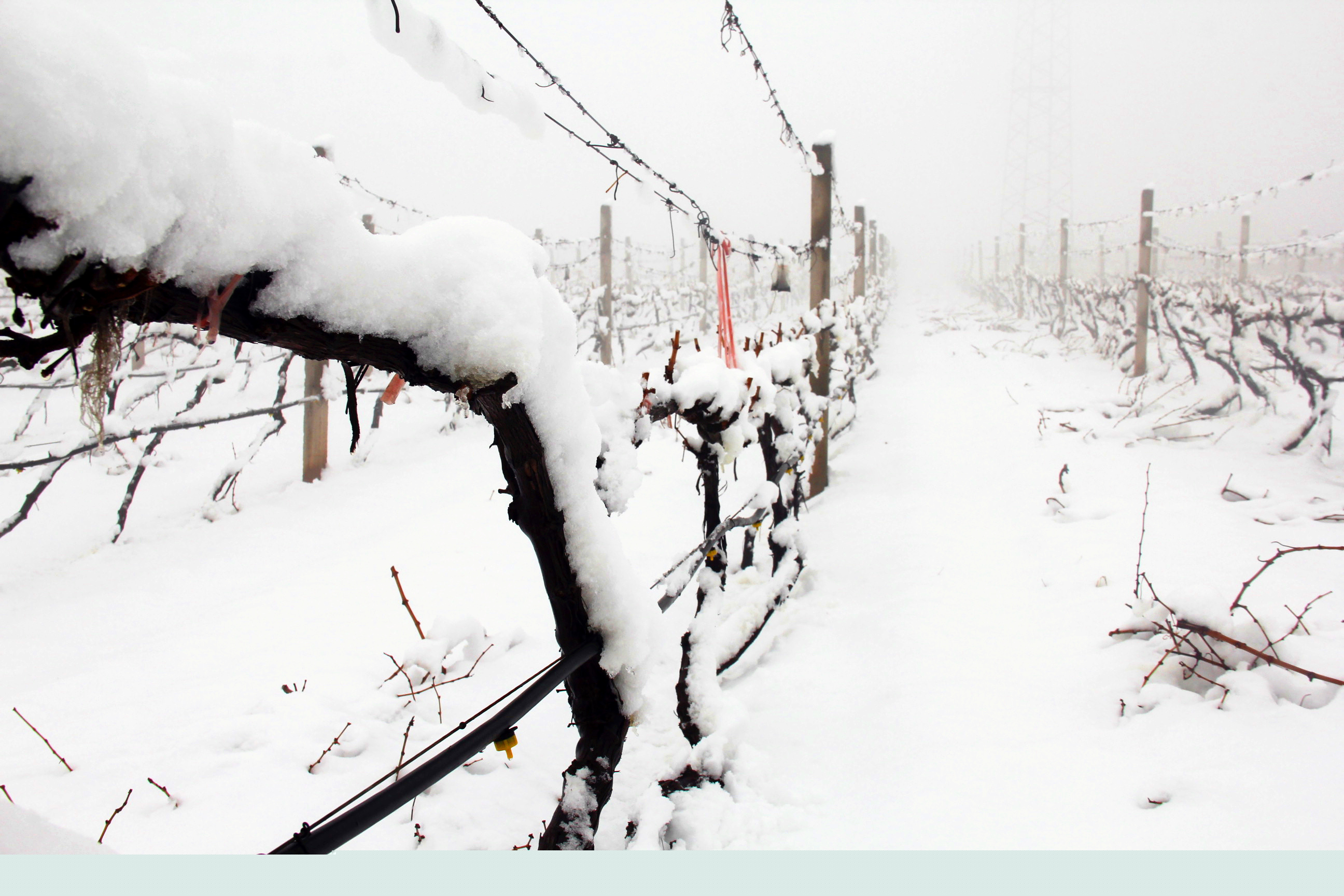 瑞雪兆豐年 ▎時光正好，歲月極美，何必覓遠方