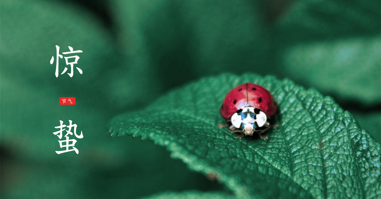 驚蟄 ▎驚蟄始，萬(wàn)物舒，與你聽(tīng)風(fēng)望春來(lái)